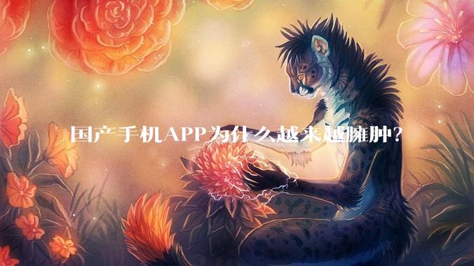 国产手机APP为什么越来越臃肿？