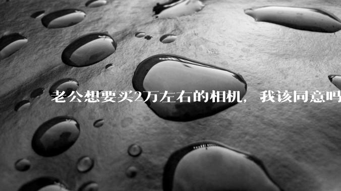 老公想要买2万左右的相机，我该同意吗？